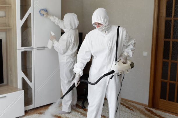 Best Post-Flood Mold Remediation in Millis Clicquot, MA